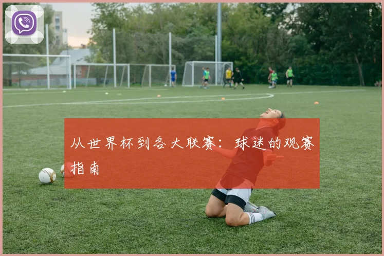从世界杯到各大联赛：球迷的观赛指南